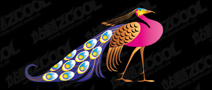 Beautiful peacock vector material