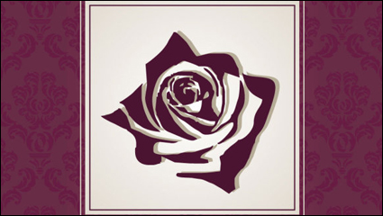 Fine pattern border background 03 - vector