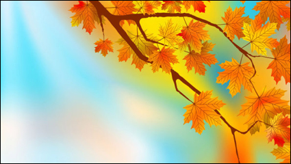 Beautiful maple leaf background 02 - vector