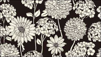 Exquisite black-and-white line art background 02 - vector material